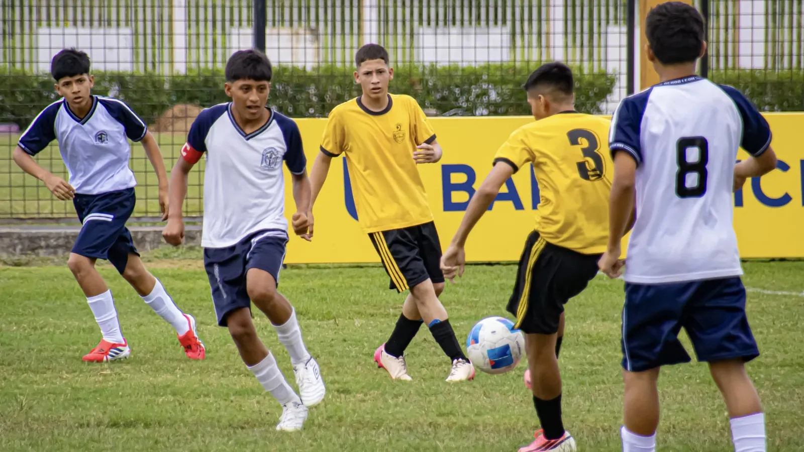 U.E. DR. JOSÉ OCHOA LEÓN vs U.E. COMIL 3. U15